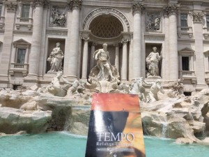  Fontana di Trevi, Roma. Italia               
