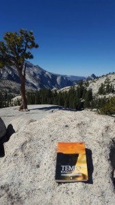  Yosemite Park, Estados Unidos   